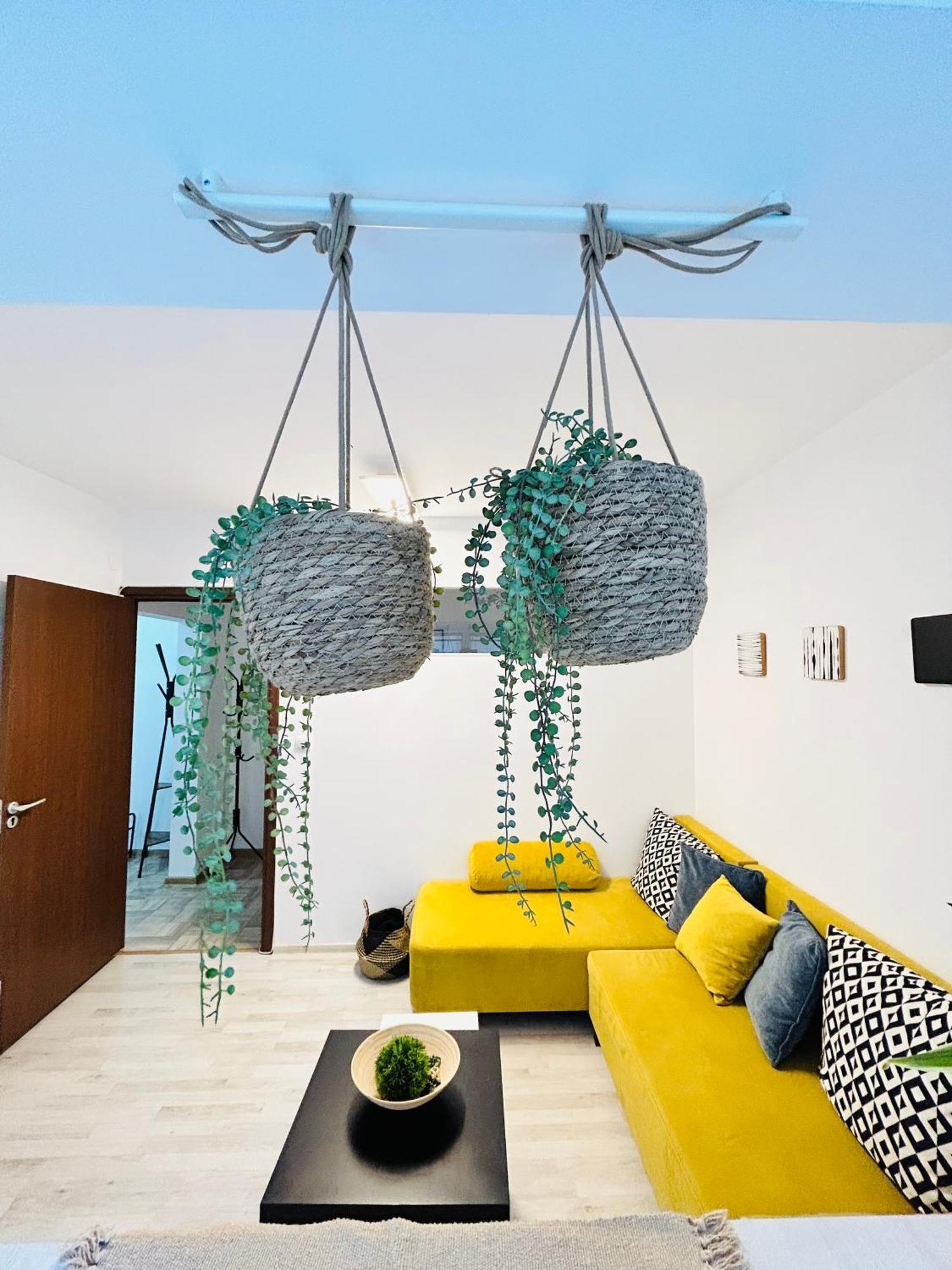 Alisz Apartments Тимишоара Экстерьер фото