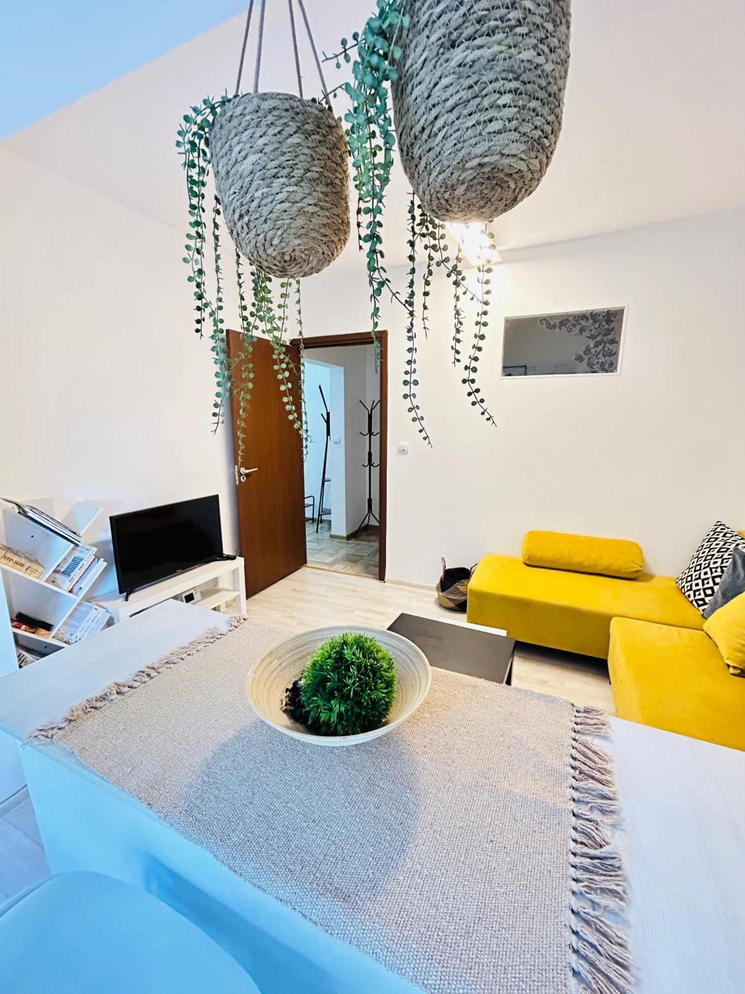 Alisz Apartments Тимишоара Экстерьер фото