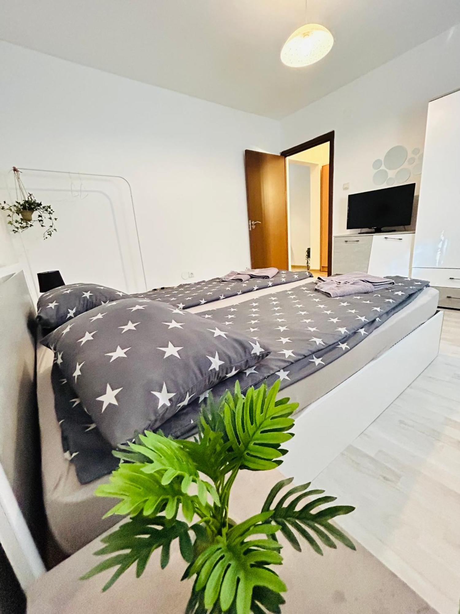 Alisz Apartments Тимишоара Экстерьер фото