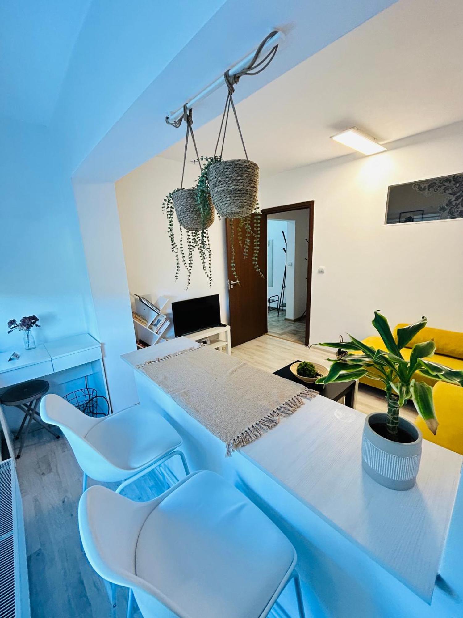 Alisz Apartments Тимишоара Экстерьер фото