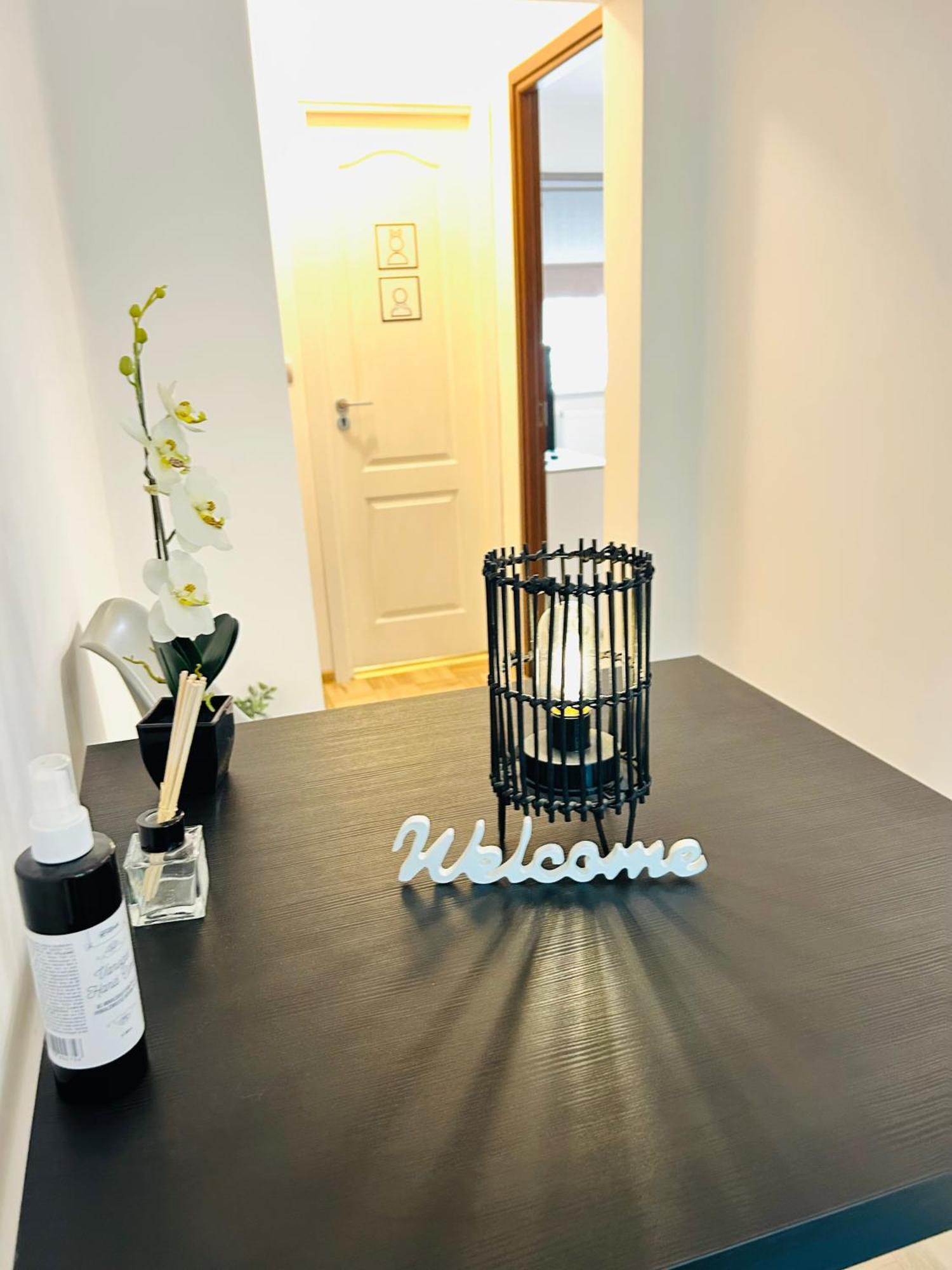 Alisz Apartments Тимишоара Экстерьер фото